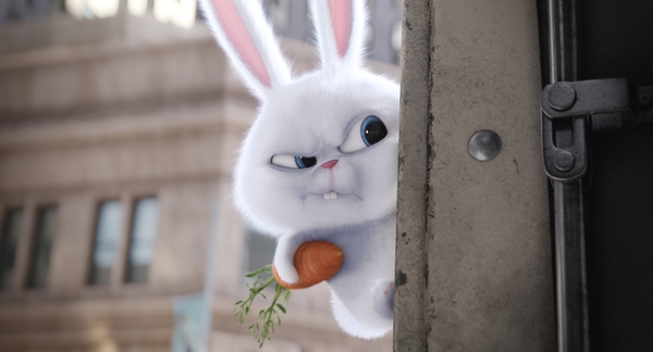 the secret life of pets the secret life of pets