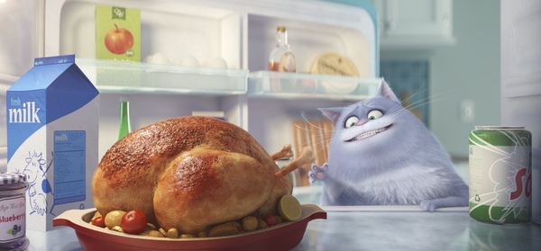 the secret life of pets the secret life of pets