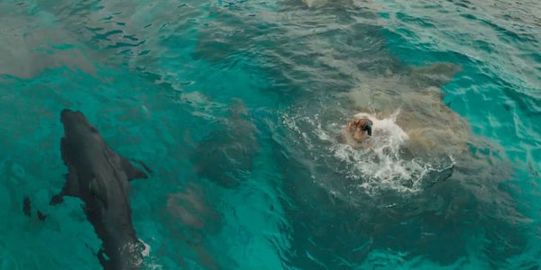 the shallow