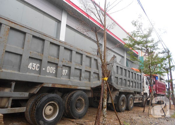 Người Đà Nẵng vẫn "trực chiến" với bão Haiyan 2