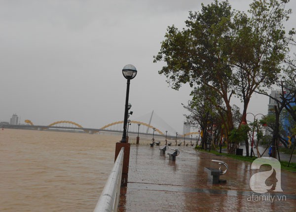 Người Đà Nẵng vẫn "trực chiến" với bão Haiyan 8