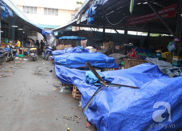 Đà Nẵng: Trời mưa to, gió mạnh, đường xá vắng vẻ 8