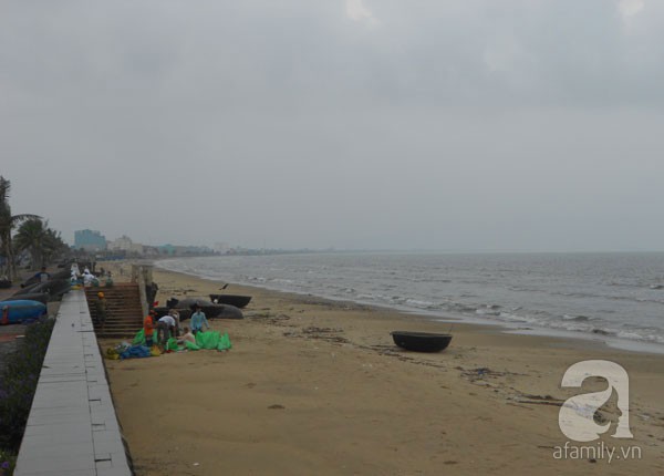 Người Đà Nẵng hối hả đi rút tiền, mua đồ tích trữ để đối phó với siêu bão Haiyan 16