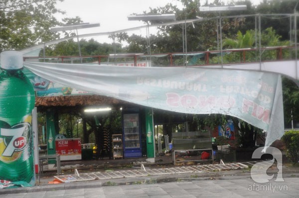 Đường phố Hạ Long tan hoang sau khi siêu bão Haiyan đổ bộ 2