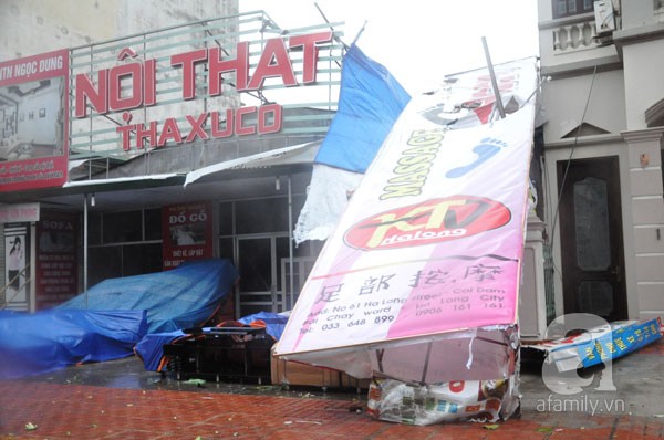 Đường phố Hạ Long tan hoang sau khi siêu bão Haiyan đổ bộ 5