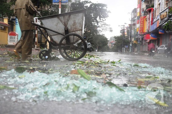 Đường phố Hạ Long tan hoang sau khi siêu bão Haiyan đổ bộ 6
