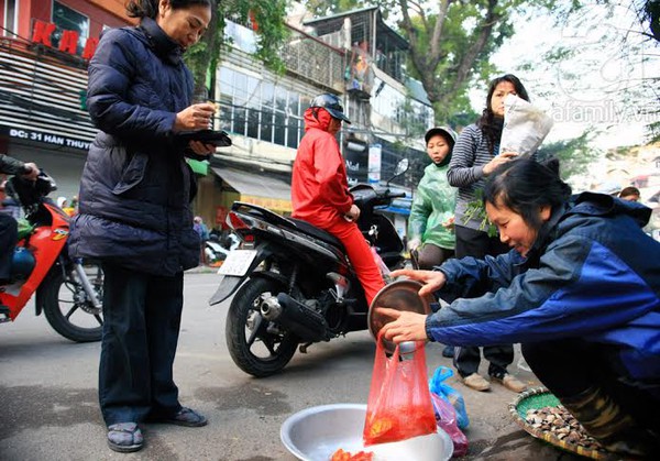 Hà Nội: Người dân chi cả triệu đồng mua cá chép Nhật cúng Ông Công, Ông Táo 3