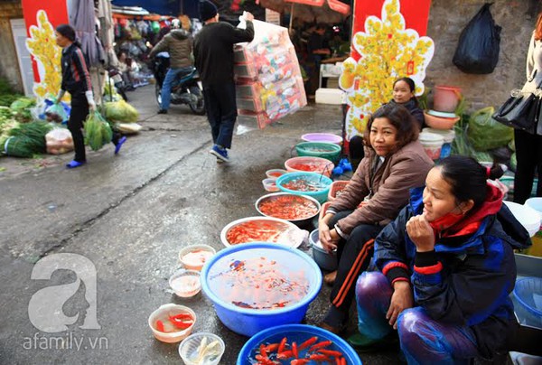 Hà Nội: Người dân chi cả triệu đồng mua cá chép Nhật cúng Ông Công, Ông Táo 5