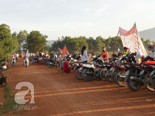 "Bãi biển" tự phát ở Thạch Thất tấp nập hơn cả bãi tắm Hồ Tây 8