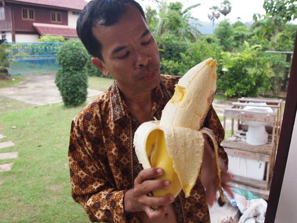 chuoi-khong-lo chuoi-khong-lo