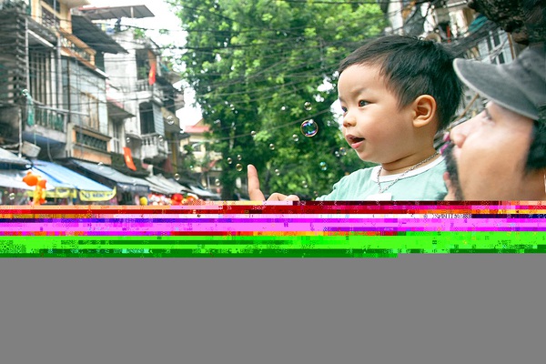 Khu vườn đẹp của mẹ việt tại mỹ