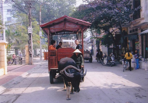 Du lịch Bát Tràng - "hạt dẻ" mà thú vị 5