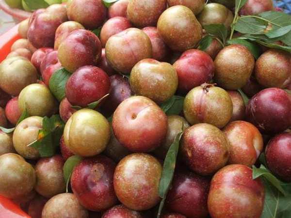 6 thứ quả chua mê mẩn chị em 10 6 thứ quả chua mê mẩn chị em 10