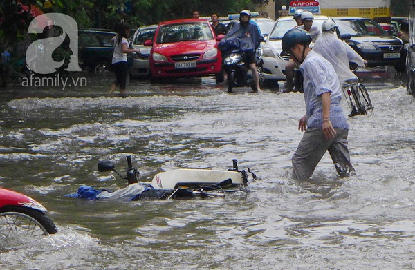 Người Hà Nội 