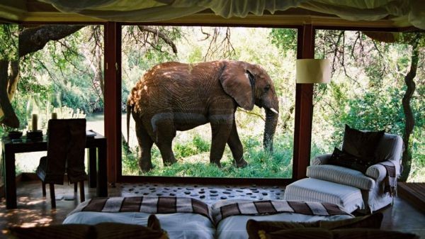 Ngắm nội thất tuyệt vời của 5 khu nghỉ dưỡng đẹp nhất Nam Phi  27