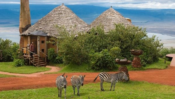 Ngắm nội thất tuyệt vời của 5 khu nghỉ dưỡng đẹp nhất Nam Phi  12