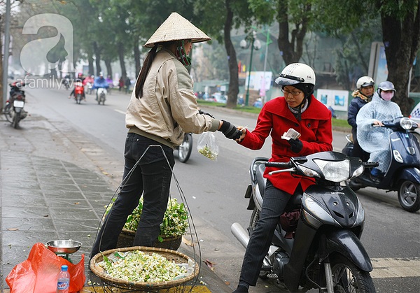 Hà Nội tinh khôi, dịu dàng trong hương sắc hoa tháng 3 13