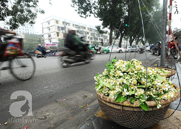 Hà Nội tinh khôi, dịu dàng trong hương sắc hoa tháng 3 12