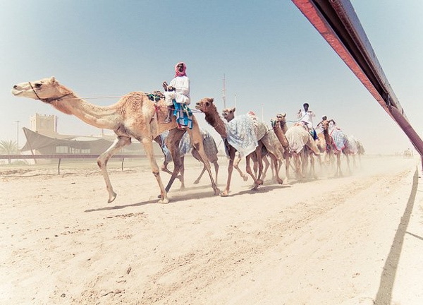 Qatar - đất nước giàu sang và nhàn hạ nhất thế giới 5