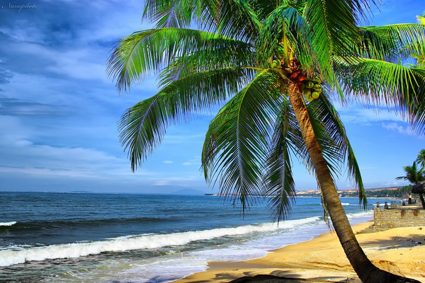 Ngắm bãi biển Việt Nam lọt top 11 bãi biển đẹp nhất Đông Nam Á 1