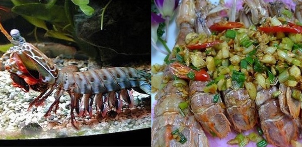15 món hải sản nức tiếng ở Châu Á 6