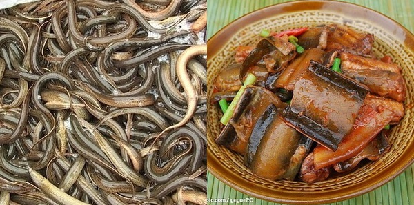 15 m&oacute;n hải sản nức tiếng ở Ch&acirc;u &Aacute; 7
