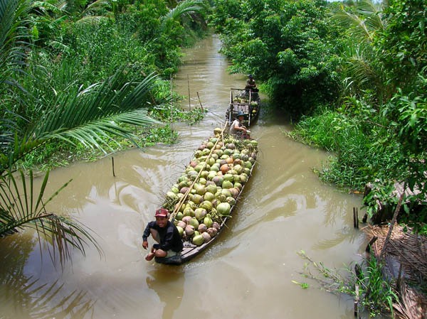 Điểm danh 4 vựa trái cây lớn nhất Nam Bộ 6