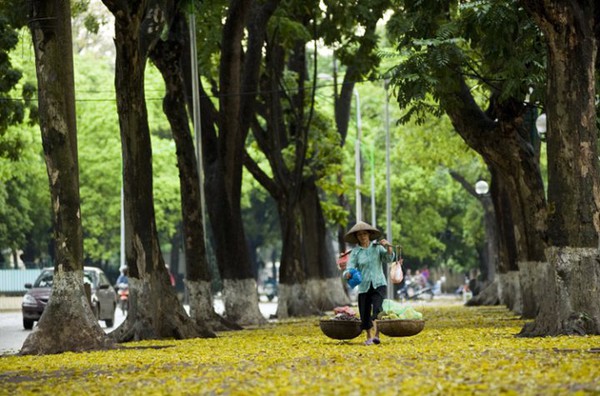 Dịu dàng ẩm thực mùa thu 1