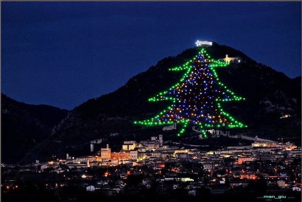 Cây thông Noel lớn nhất thế giới đã được thắp sáng 1