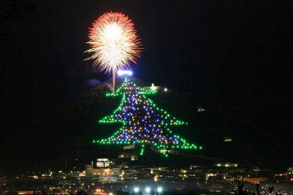 Cây thông Noel lớn nhất thế giới đã được thắp sáng 2