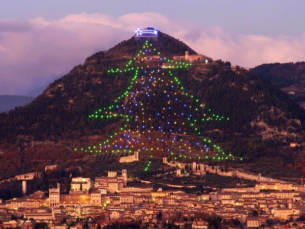 Cây thông Noel lớn nhất thế giới đã được thắp sáng 3