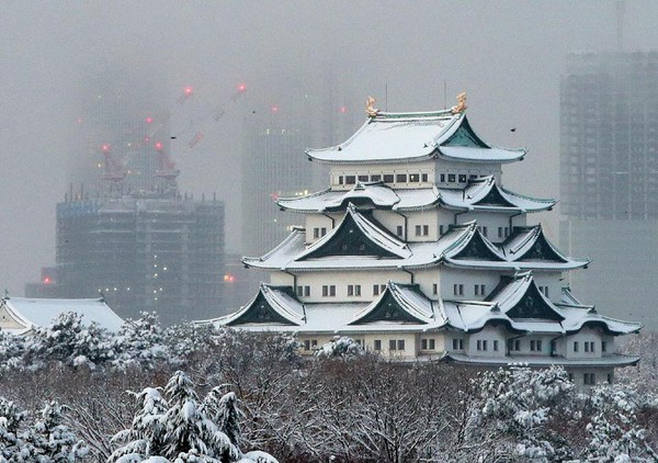 Nhật Bản: Sinh hoạt ảnh hưởng nghiêm trọng vì tuyết rơi dày đặc 1