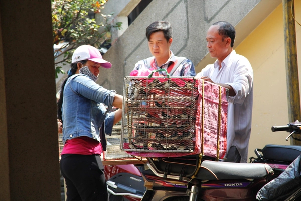 Chim phóng sinh ngày Rằm, chưa kịp tung cánh đã bị bắt lại 2