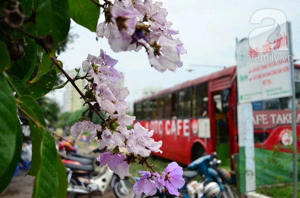 chiếc ô tô cafe đầu tiên ở Việt Nam