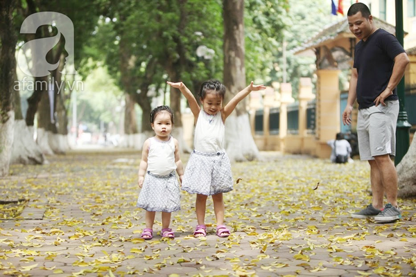 Những khoảnh khắc dung dị ngọt ngào mùa lá rơi nhuộm vàng Hà Nội