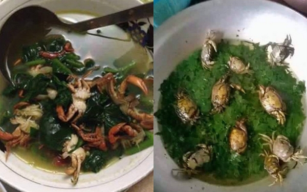 cô gái nấu ăn vụng về cô gái nấu ăn vụng về