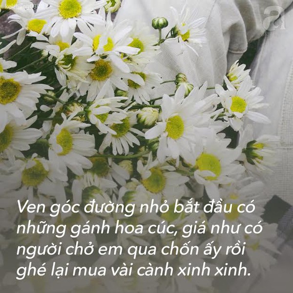thu về, phố c&oacute; g&igrave; để em cần một v&ograve;ng tay?