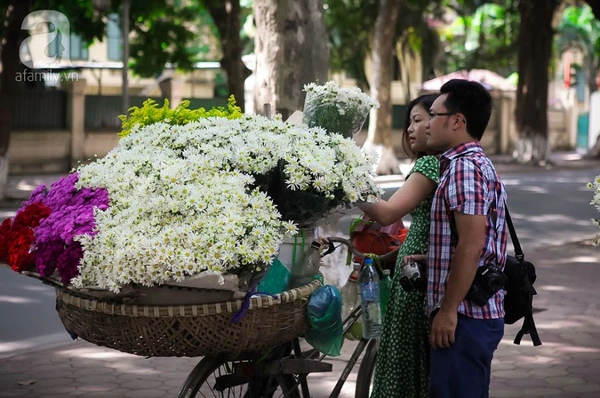 c&uacute;c họa mi