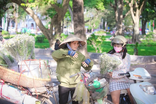 c&uacute;c họa mi
