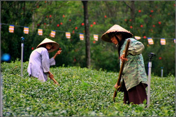 Tây Nguyên và những nẻo đường khó quên 1