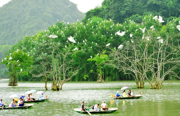 4 điểm du lịch non nước nên thơ ở Ninh Bình  10