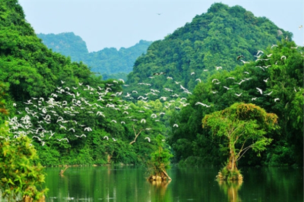 4 điểm du lịch non nước nên thơ ở Ninh Bình  11