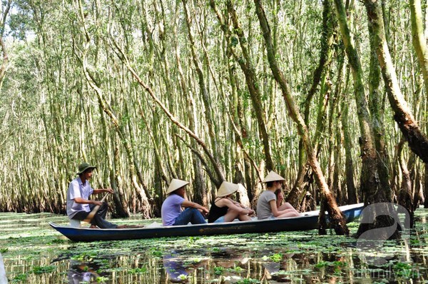 Lạc trong thế giới nước Trà Sư 3