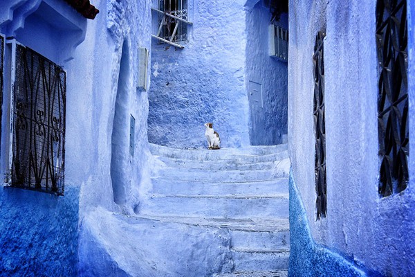 Chefchaouen - thị trấn xanh đẹp hút hồn ở Ma Rốc 8