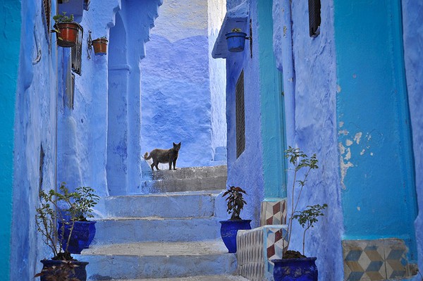 Chefchaouen - thị trấn xanh đẹp hút hồn ở Ma Rốc 9