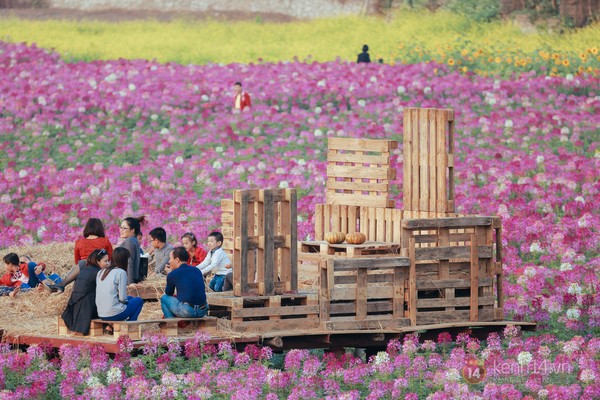 4 địa điểm chụp ảnh với hoa đẹp hút hồn ở Hà Nội 10