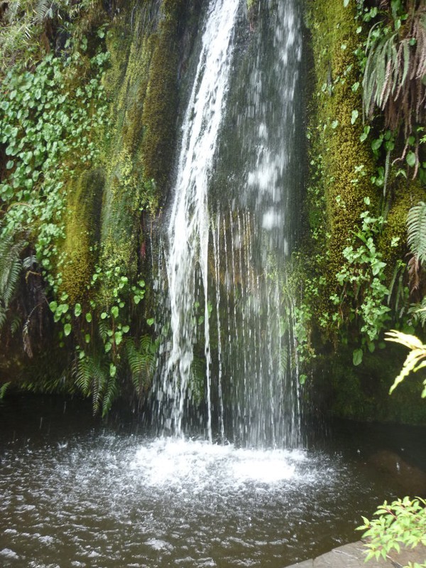 Đi tắm hồ giữa m&ugrave;a đ&ocirc;ng lạnh gi&aacute; 4