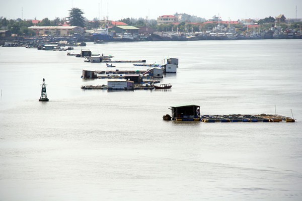 long sơn