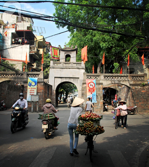 hà nội afamily