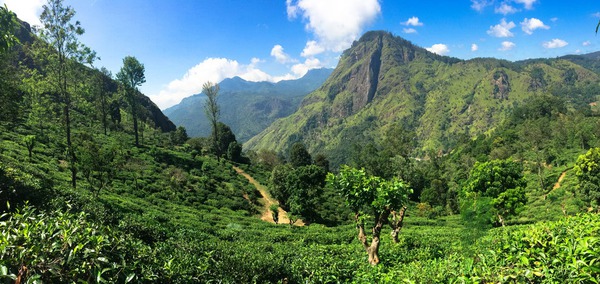 du lịch